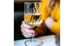 Berger Weinglas 2er Set