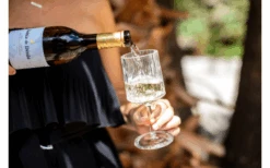 Berger Weinglas 2er Set -Berger 594239 4331207