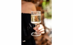 Berger Weinglas 2er Set -Berger 690069 4697631